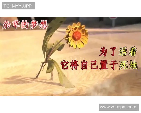 张秀英的飞盘人生：从热爱到梦想的深度对话与启示