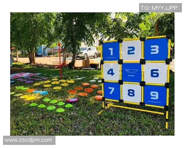 武汉飞盘队的边路渗透战术解析与深度剖析