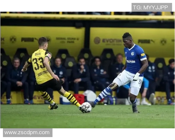 深圳乒乓球队在世界锦标赛中的团队协作表现与成功之道分析