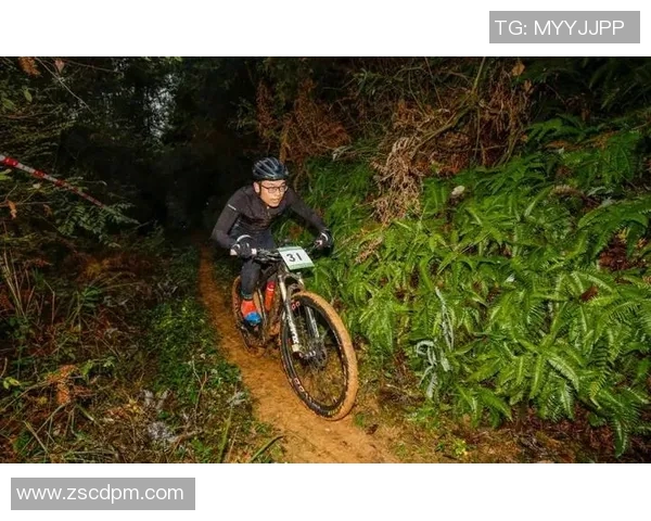 深圳极限运动队团队协作表现的数据分析与提升策略探讨 深圳极限运动队团队协作表现的数据分析与提升策略探讨