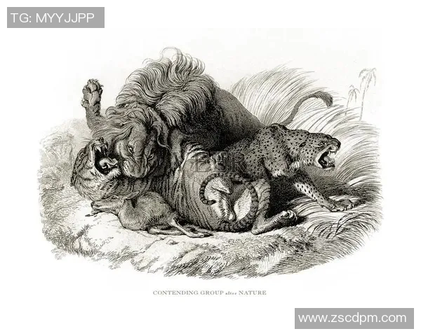 老虎大学与美洲虎的精彩对决谁将赢得最终胜利