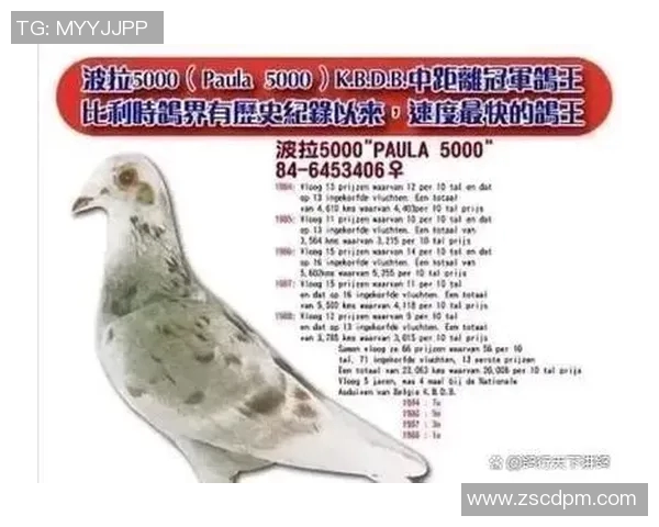 博卡青年与亚自由的巅峰对决谁能在南美赛场上书写传奇篇章